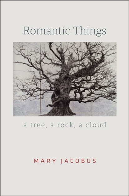 Romantic Things, Mary Jacobus - Paperback - 9780226271347