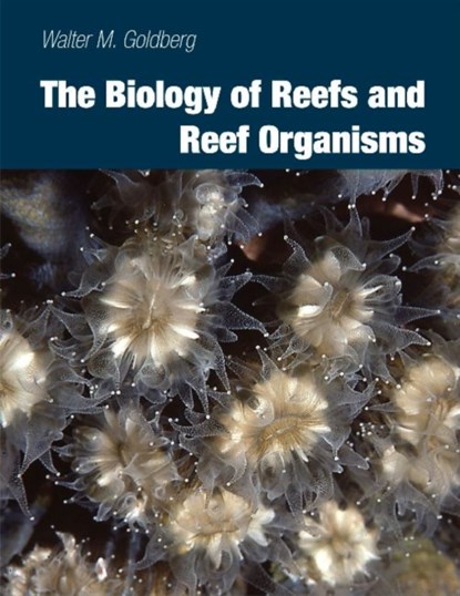 The Biology of Reefs and Reef Organisms, Walter M. Goldberg - Paperback - 9780226301686