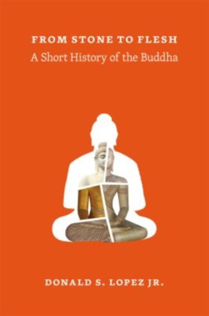 From Stone to Flesh, Donald S. Lopez Jr. - Paperback - 9780226333236