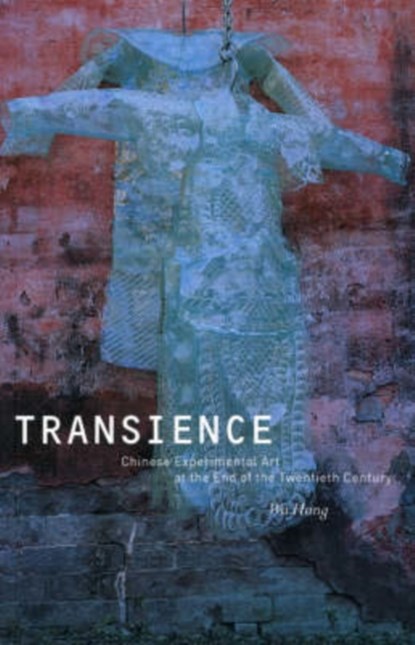 Transience, Wu Hung - Paperback - 9780226360713