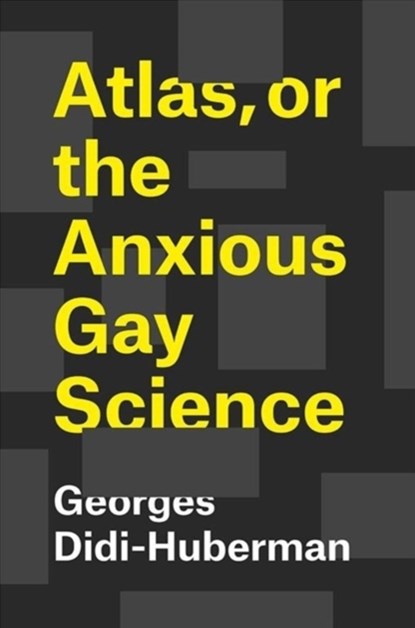 Atlas, or the Anxious Gay Science, Georges Didi-Huberman ; Shane B. Lillis - Gebonden - 9780226439471