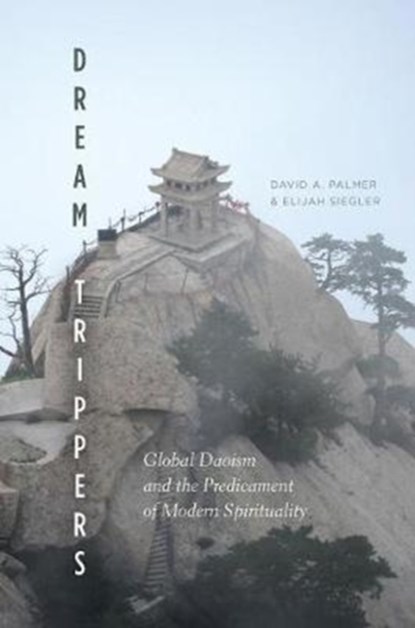 Dream Trippers, David A. Palmer ; Elijah Siegler - Paperback - 9780226484846