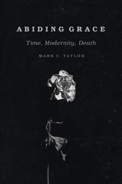 Abiding Grace, Mark C. Taylor - Paperback - 9780226569086