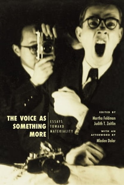 The Voice as Something More, Mladen Dolar - Ebook - 9780226656427