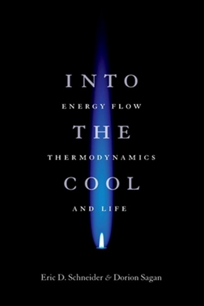 Into the Cool, Eric D. Schneider ; Dorion Sagan - Paperback - 9780226739373