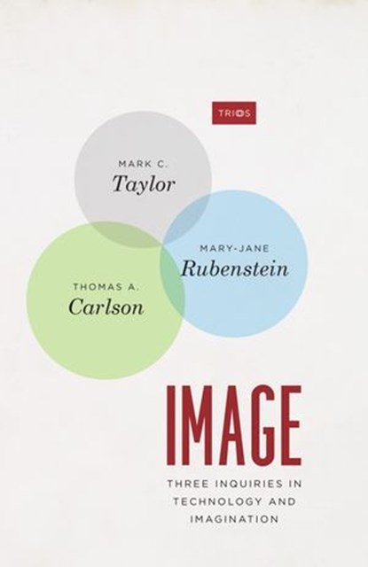 Image, Mark C. Taylor ; Thomas A. Carlson ; Mary-Jane Rubenstein - Ebook - 9780226782317