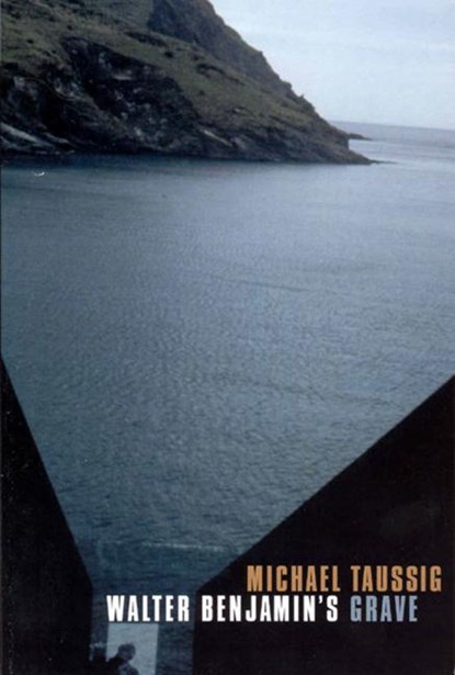 Walter Benjamin's Grave, Michael Taussig - Paperback - 9780226790046