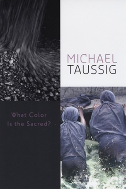 What Color Is the Sacred?, Michael Taussig - Paperback - 9780226790060