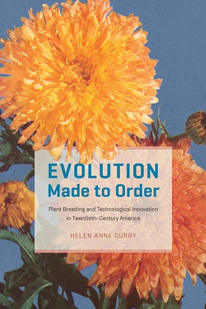 Evolution Made to Order, Helen Anne Curry - Paperback - 9780226790862
