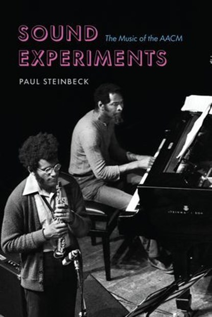 Sound Experiments, Paul Steinbeck - Ebook - 9780226820439