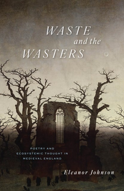 Waste and the Wasters, Eleanor Johnson - Paperback - 9780226830179