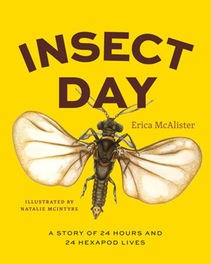 Insect Day, Erica McAlister - Gebonden - 9780226840925