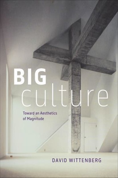 Big Culture, David Wittenberg - Ebook - 9780226842912