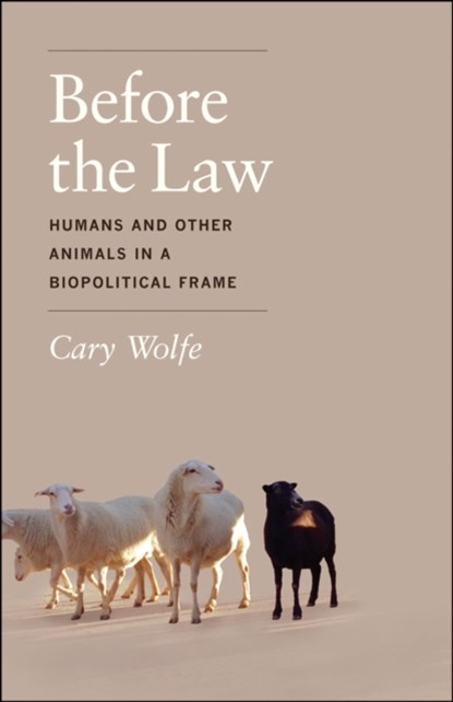 Before the Law, Cary Wolfe - Gebonden - 9780226922409