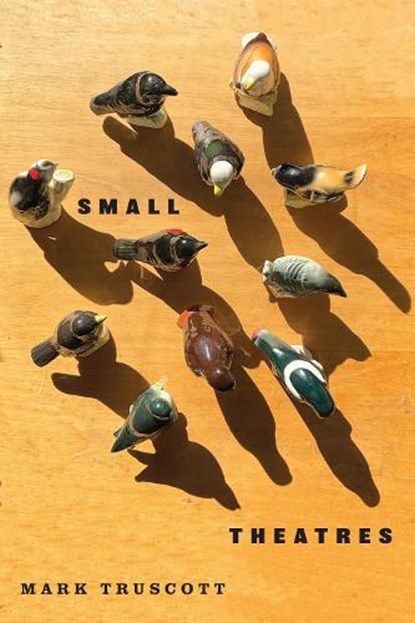 Small Theatres, Mark Truscott - Paperback - 9780228027928
