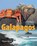 Galapagos: A Traveler's Introduction, LYNCH,  Wayne - Paperback - 9780228100195