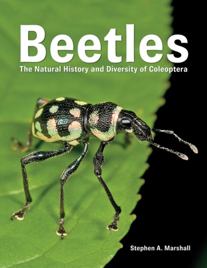 Beetles, Stephen A. Marshall - Gebonden - 9780228100690