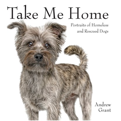 Take Me Home!, Andrew Grant - Paperback - 9780228103042