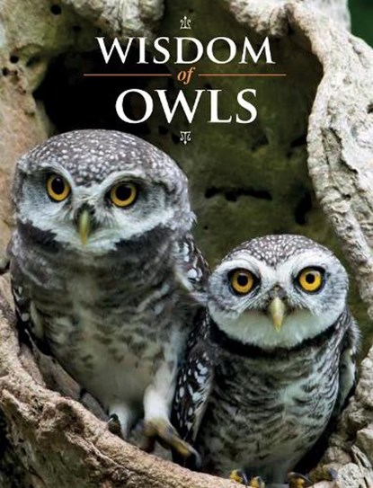 Wisdom of Owls, Lisa Purcell - Gebonden - 9780228105107