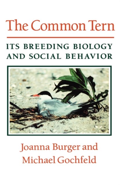The Common Tern, Joanna Burger ; Michael Gochfeld - Gebonden - 9780231075022