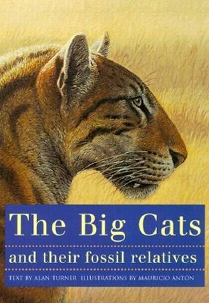 The Big Cats and Their Fossil Relatives, Mauricio Anton ; Alan Turner - Paperback - 9780231102292