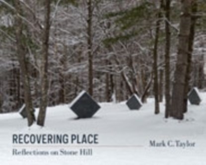 Recovering Place, Mark C. Taylor - Gebonden - 9780231164986