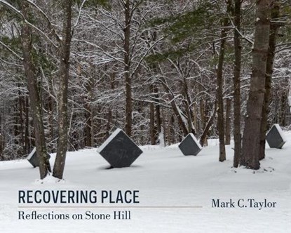 Recovering Place, Mark C. Taylor - Paperback - 9780231164993