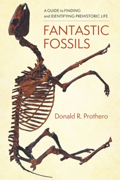 Fantastic Fossils, Donald R. Prothero - Paperback - 9780231195799