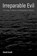 Irreparable Evil, David Scott - Paperback - 9780231213059