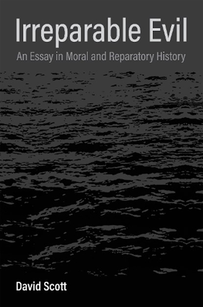 Irreparable Evil, David Scott - Paperback - 9780231213059