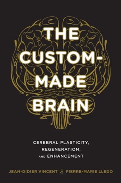 The Custom-Made Brain, Jean-Didier Vincent ; Pierre-Marie Lledo - Ebook - 9780231534215