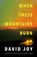 When These Mountains Burn, David Joy - Paperback - 9780233006505