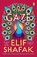 The Gaze, Elif Shafak - Paperback - 9780241201916