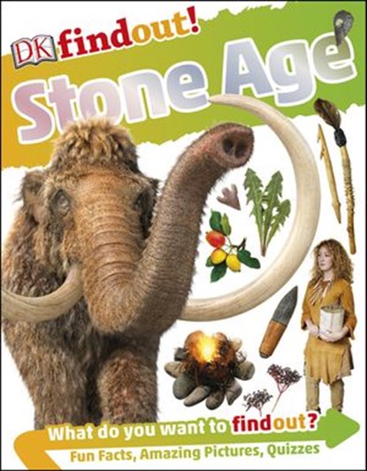 DKfindout! Stone Age, DK ; Klint Janulis - Ebook - 9780241307175