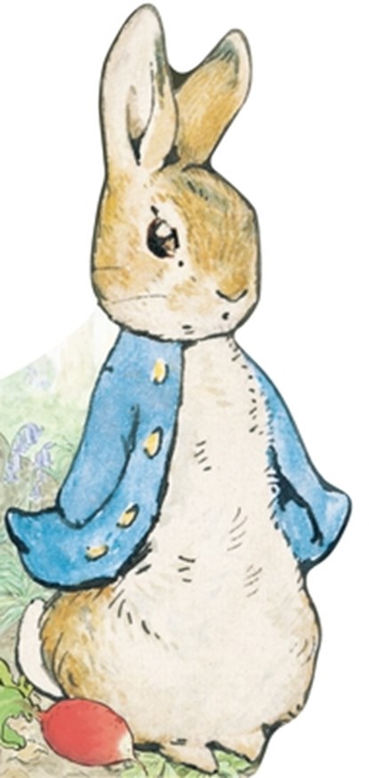 All about Peter, Beatrix Potter - Gebonden - 9780241324554