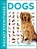 Pocket Eyewitness Dogs, DK - Paperback - 9780241343609