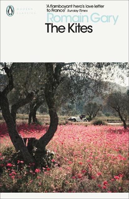 The Kites, Romain Gary - Paperback - 9780241345627