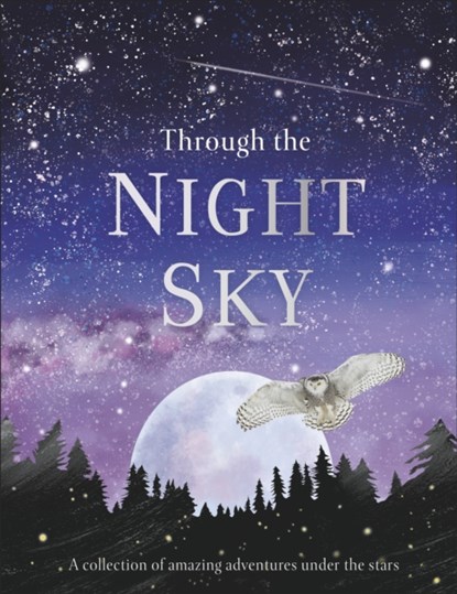 Through the Night Sky, DK - Gebonden - 9780241355459