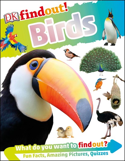 DKfindout! Birds, DK - Paperback - 9780241358474