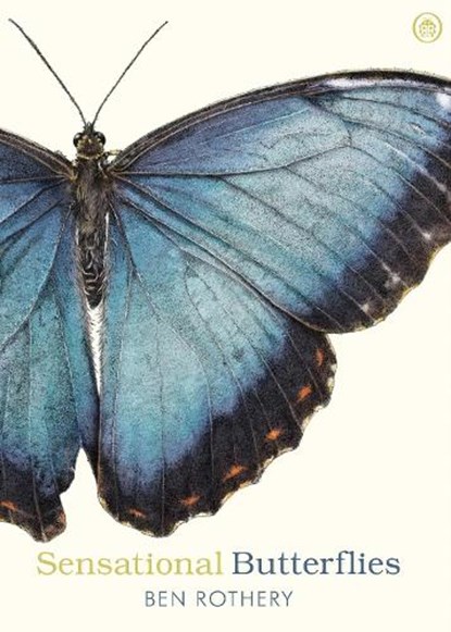 Sensational Butterflies, Ben Rothery - Paperback - 9780241361054