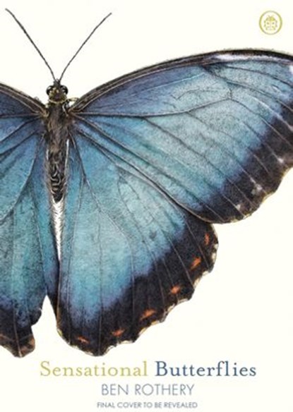 Sensational Butterflies, Ben Rothery - Ebook - 9780241361061