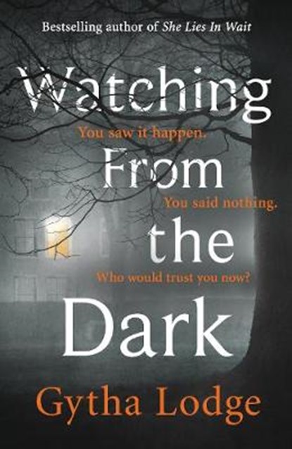 Watching from the Dark, LODGE,  Gytha - Gebonden - 9780241363034