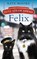 Full Steam Ahead, Felix, Kate Moore - Gebonden - 9780241364819