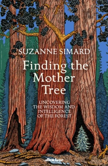 Finding the Mother Tree, SIMARD,  Suzanne - Paperback - 9780241389355