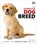 The Complete Dog Breed Book, DK - Gebonden - 9780241412732