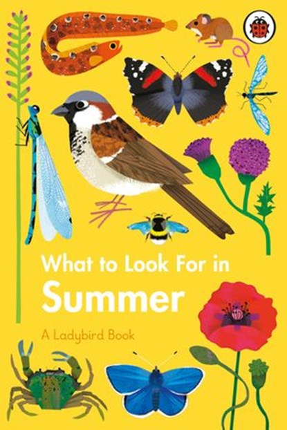 What to Look For in Summer, Elizabeth Jenner - Ebook - 9780241416211