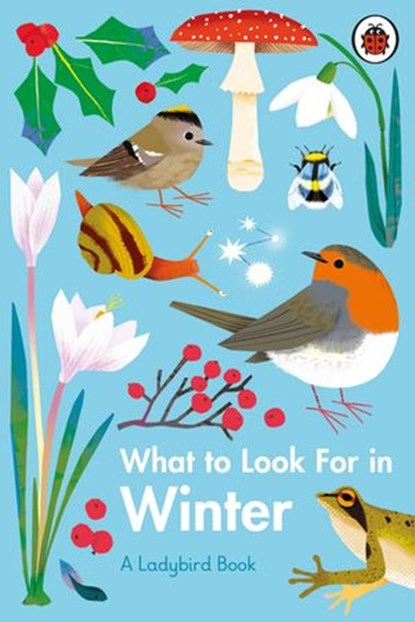 What to Look For in Winter, Elizabeth Jenner - Ebook - 9780241416235