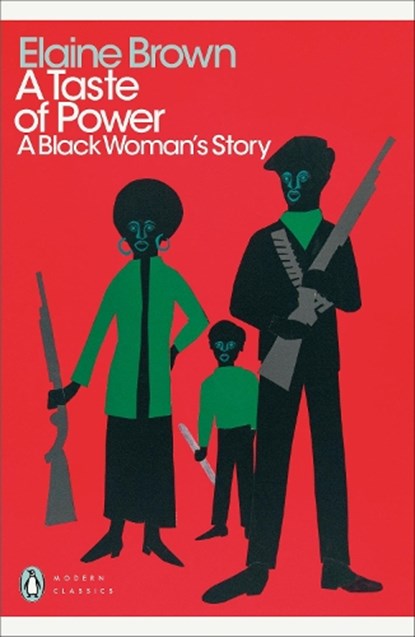 A Taste of Power, Elaine Brown - Paperback - 9780241537343