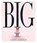Big, Vashti Harrison - Gebonden - 9780241561904