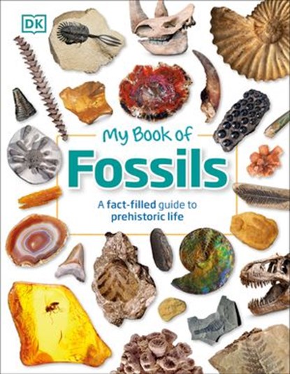 My Book of Fossils, DK ; Dean R. Lomax - Ebook - 9780241571569